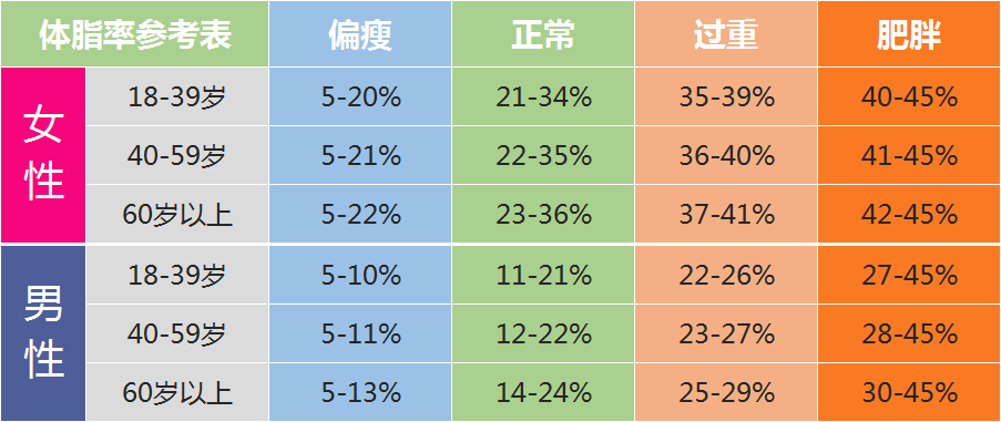 体脂率参考标准